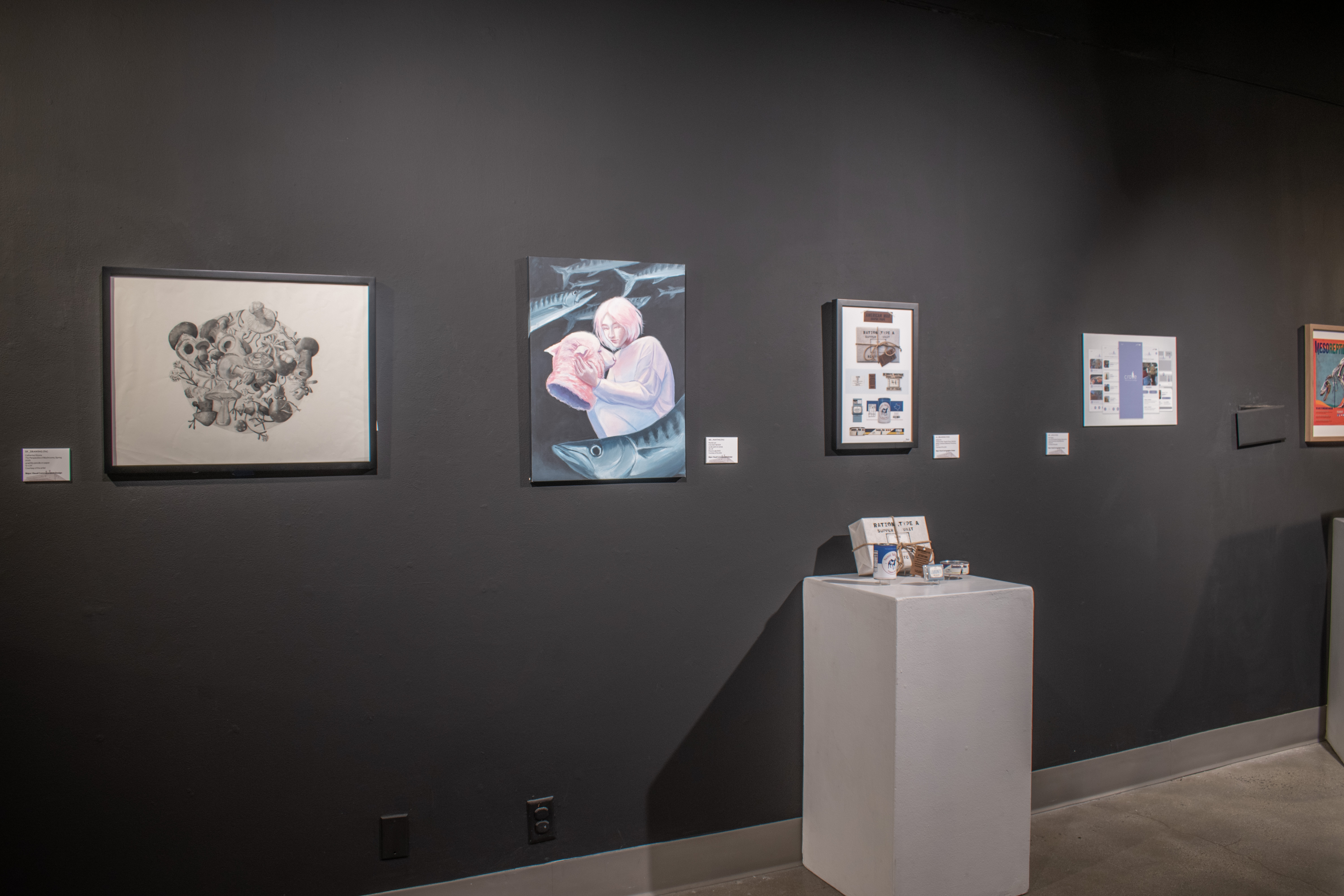 Back Gallery installation view